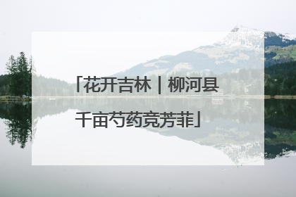 花开吉林｜柳河县千亩芍药竞芳菲