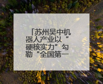 苏州吴中机器人产业以“硬核实力”勾勒“全国第一区”蓝图
