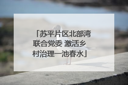 苏平片区北部湾联合党委 激活乡村治理一池春水