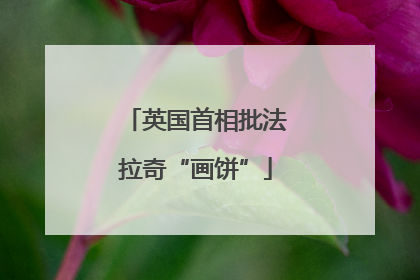 英国首相批法拉奇“画饼”