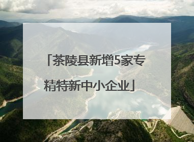 茶陵县新增5家专精特新中小企业