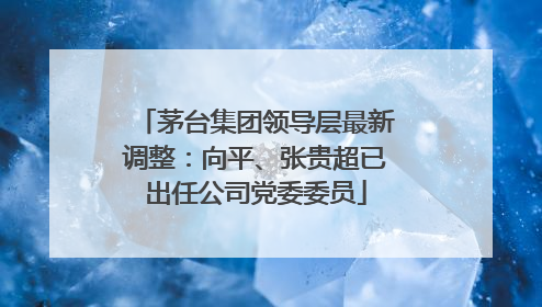 茅台集团领导层最新调整：向平、张贵超已出任公司党委委员