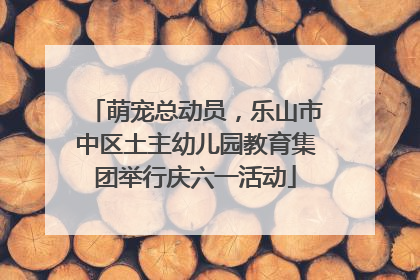 萌宠总动员，乐山市中区土主幼儿园教育集团举行庆六一活动
