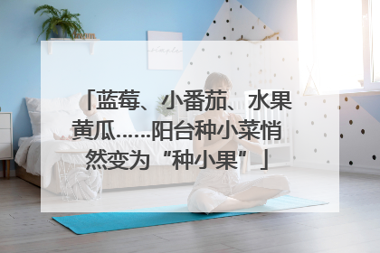 蓝莓、小番茄、水果黄瓜……阳台种小菜悄然变为“种小果”