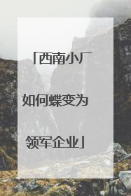 西南小厂如何蝶变为领军企业