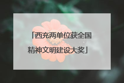 西充两单位获全国精神文明建设大奖