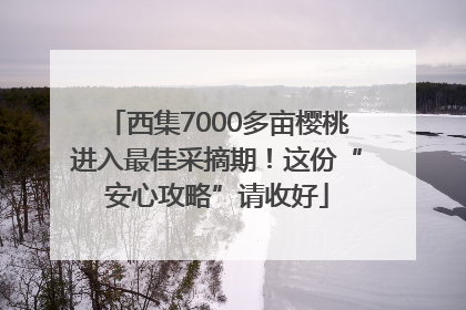 西集7000多亩樱桃进入最佳采摘期！这份“安心攻略”请收好