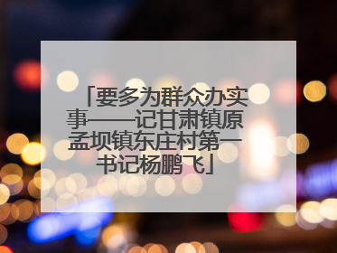 要多为群众办实事——记甘肃镇原孟坝镇东庄村第一书记杨鹏飞