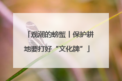 观潮的螃蟹丨保护耕地要打好“文化牌”