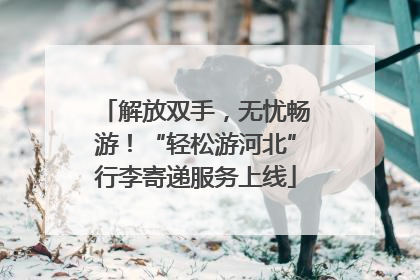 解放双手，无忧畅游！“轻松游河北”行李寄递服务上线