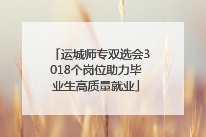 运城师专双选会3018个岗位助力毕业生高质量就业
