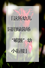 这所幼儿园用绿茵场“破题”幼小衔接
