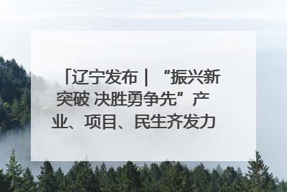 辽宁发布｜“振兴新突破 决胜勇争先”产业、项目、民生齐发力 葫芦岛按下决胜之年“加速键”