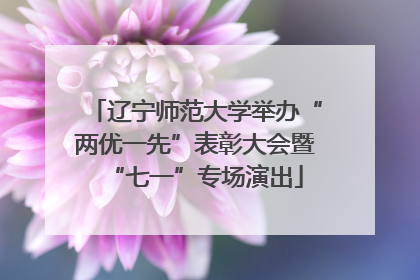 辽宁师范大学举办“两优一先”表彰大会暨“七一”专场演出