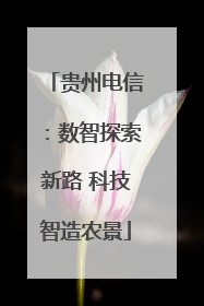 贵州电信：数智探索新路 科技智造农景