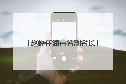 赵峰任海南省副省长