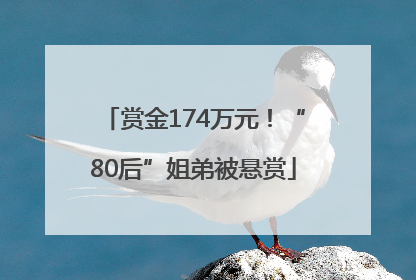 赏金174万元！“80后”姐弟被悬赏