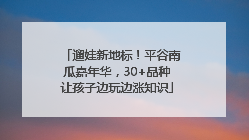 遛娃新地标！平谷南瓜嘉年华，30+品种让孩子边玩边涨知识