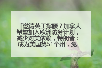 邀请英王撑腰？加拿大希望加入欧洲防务计划，减少对美依赖，特朗普：成为美国第51个州，免费用“金穹”