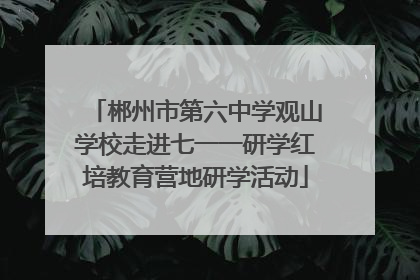 郴州市第六中学观山学校走进七一一研学红培教育营地研学活动