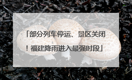 部分列车停运、景区关闭！福建降雨进入最强时段