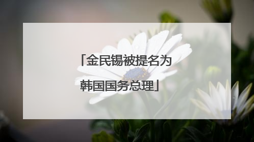 金民锡被提名为韩国国务总理