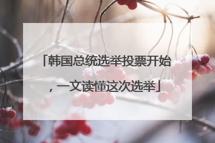 韩国总统选举投票开始，一文读懂这次选举