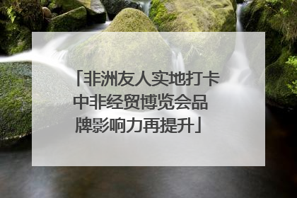 非洲友人实地打卡 中非经贸博览会品牌影响力再提升