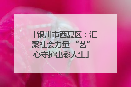 银川市西夏区：汇聚社会力量 “艺”心守护出彩人生