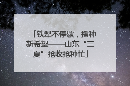 铁犁不停歇，播种新希望——山东“三夏”抢收抢种忙