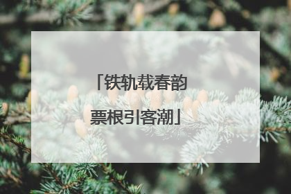 铁轨载春韵 票根引客潮