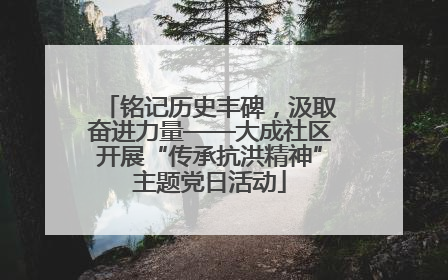 铭记历史丰碑，汲取奋进力量——大成社区开展“传承抗洪精神”主题党日活动