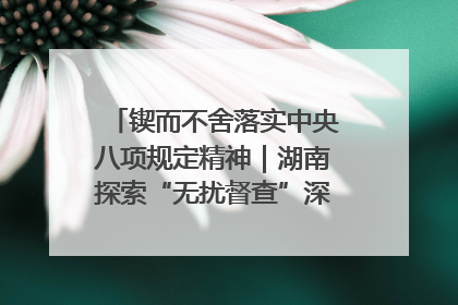 锲而不舍落实中央八项规定精神｜湖南探索“无扰督查”深化基层减负