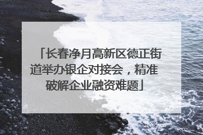 长春净月高新区德正街道举办银企对接会，精准破解企业融资难题