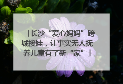 长沙“爱心妈妈”跨城接娃，让事实无人抚养儿童有了新“家”