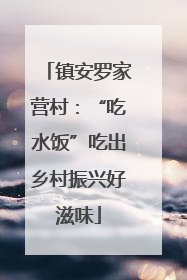 镇安罗家营村：“吃水饭”吃出乡村振兴好滋味