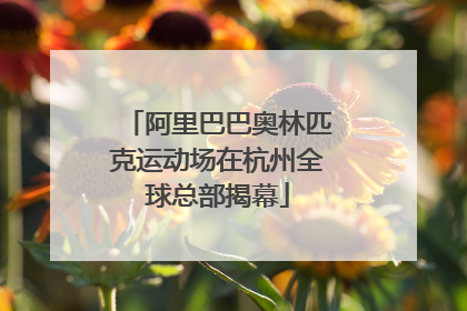 阿里巴巴奥林匹克运动场在杭州全球总部揭幕