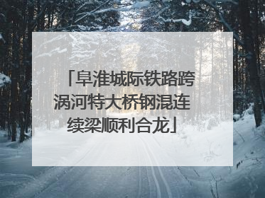 阜淮城际铁路跨涡河特大桥钢混连续梁顺利合龙