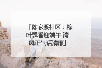 陈家渡社区：粽叶飘香迎端午 清风正气话清廉