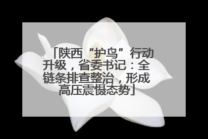 陕西“护鸟”行动升级，省委书记：全链条排查整治，形成高压震慑态势