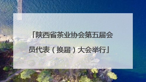 陕西省茶业协会第五届会员代表（换届）大会举行