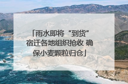 雨水即将“到货” 宿迁各地组织抢收 确保小麦颗粒归仓