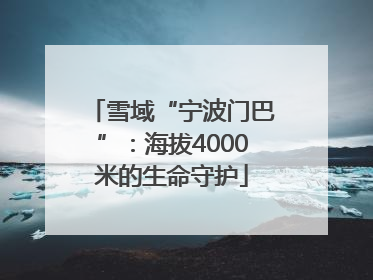 雪域“宁波门巴”：海拔4000米的生命守护