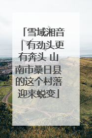 雪域湘音｜有劲头更有奔头 山南市桑日县的这个村落迎来蜕变