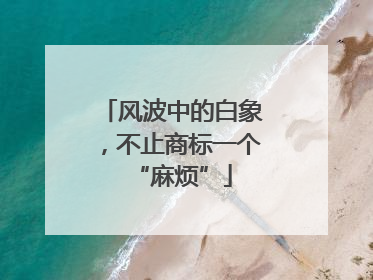 风波中的白象，不止商标一个“麻烦”