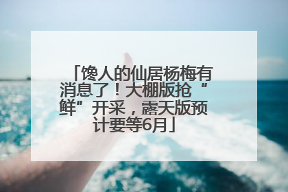 馋人的仙居杨梅有消息了！大棚版抢“鲜”开采，露天版预计要等6月