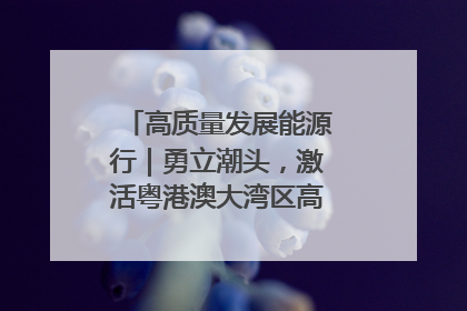 高质量发展能源行｜勇立潮头，激活粤港澳大湾区高质量发展动力源