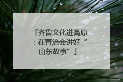 齐鲁文化进高原：在青洽会讲好“山东故事”
