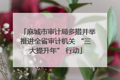 麻城市审计局多措并举推进全省审计机关 “三大提升年” 行动