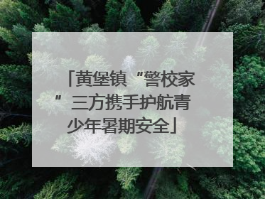 黄堡镇“警校家”三方携手护航青少年暑期安全